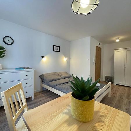 Niron Apartament Ludowa 皮拉 外观 照片