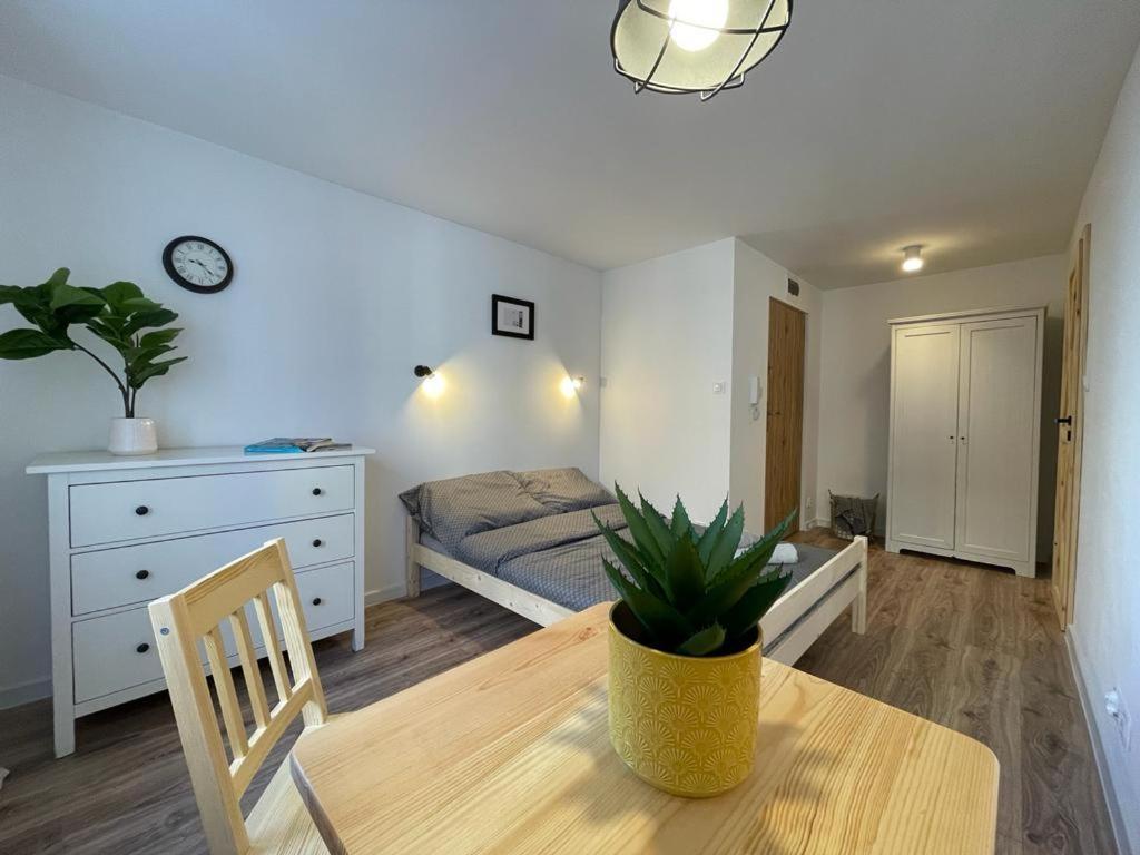Niron Apartament Ludowa 皮拉 外观 照片